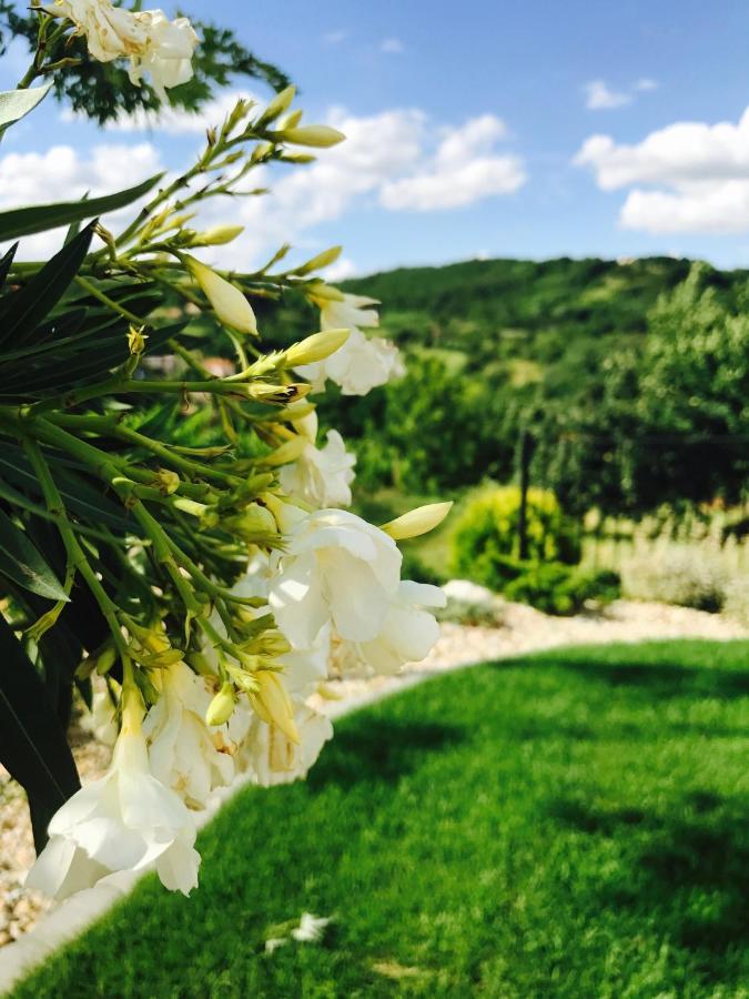 Vass-Villa Vendeghaz Szekszárd 외부 사진
