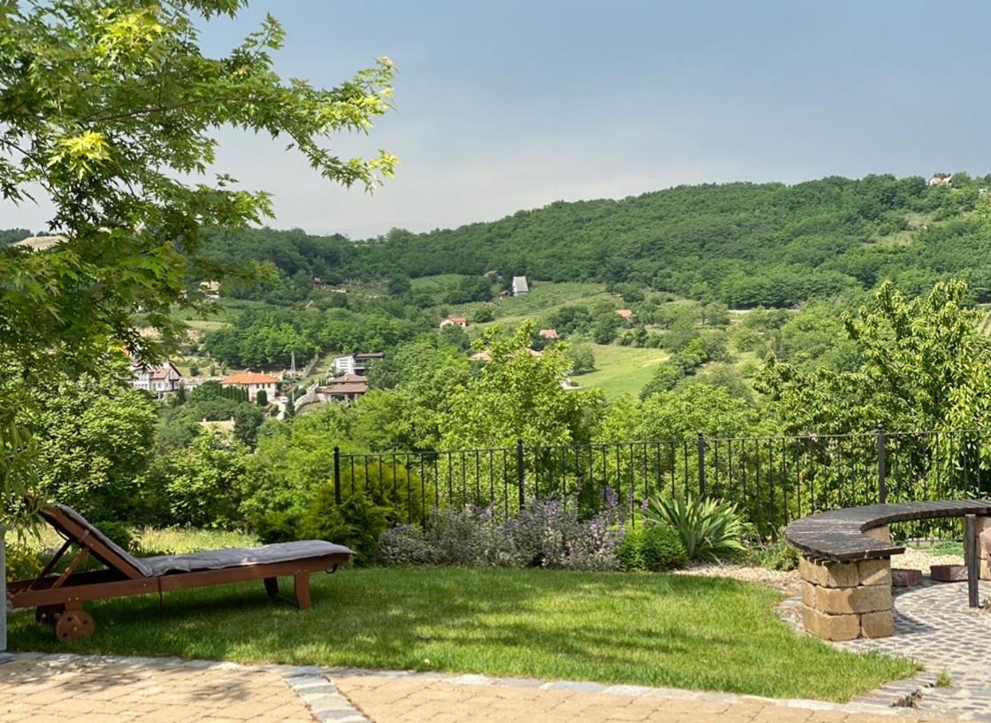 Vass-Villa Vendeghaz Szekszárd 외부 사진
