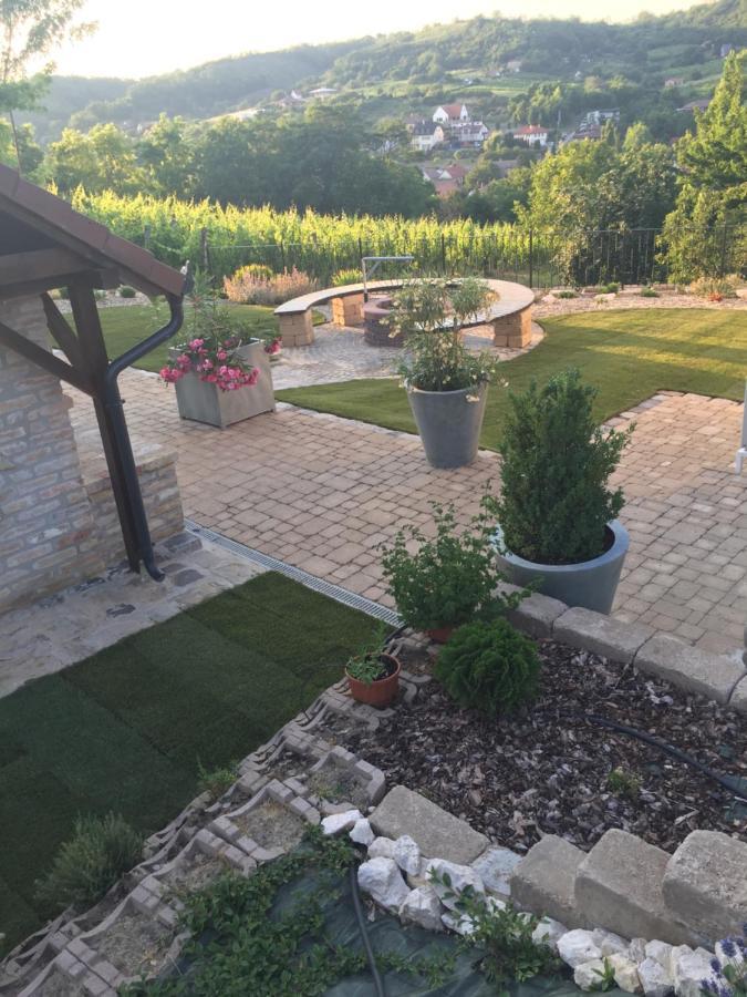 Vass-Villa Vendeghaz Szekszárd 외부 사진